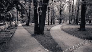 teamFORCE | Blog | Neue Wege