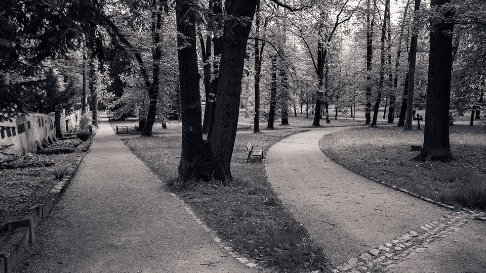 teamFORCE | Blog | Neue Wege