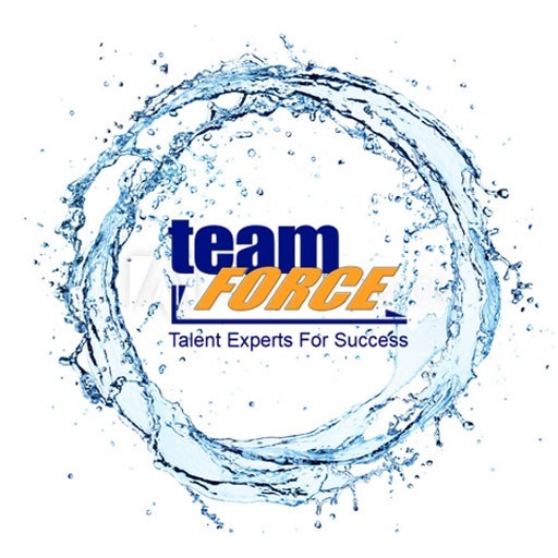Teamforce Logo