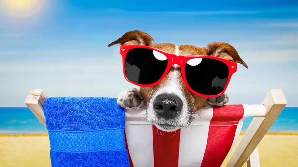 Tipps für einen entspannten Start nach dem Urlaub 1 teamFORCE | Blog | Sommer