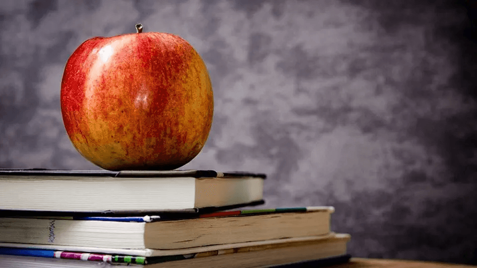 teamFORCE | Blog | Work and Eat